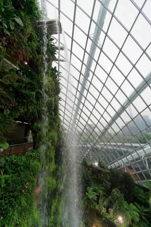 Cloud Forest (11)